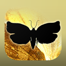 TortAI Key APK