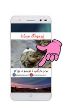 برنامه‌نما Pashto Memes -Sarcastic,Social عکس از صفحه