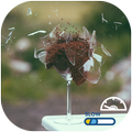 slow motion video editor