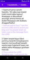 Oromo Bible poster