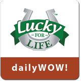 Lucky For Life Lottery