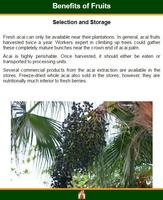 Health Benefits of Fruits syot layar 3