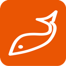 WIFI FISH FINDER 9 APK