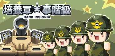 培養軍事階紴 - Rank Insignia