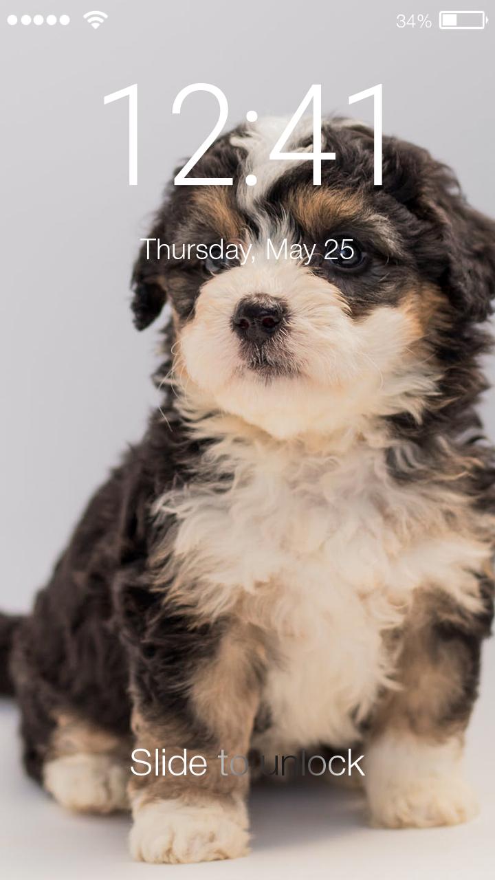 Cute Adorable Little Puppy Wallpaper For Android Apk Download - adorable roblox pictures cute