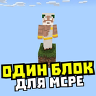 Карта один блок: выживание 圖標