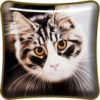 Cute Cat Live Wallpaper Zeichen