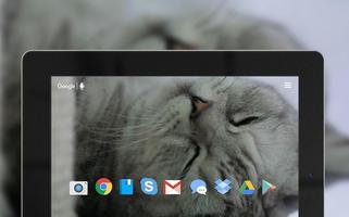 Cute Cat Live Wallpaper Screenshot 3
