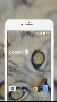 Cute Cat Live Wallpaper Screenshot 2