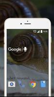Microcosm Live Wallpaper poster