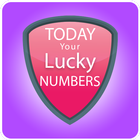 Today Your Lucky Numbers-icoon