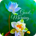 Good Morning GIF