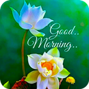 Good Morning GIF APK