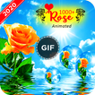 Rose GIF