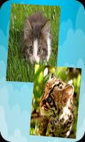 3 Schermata Animal Puzzles