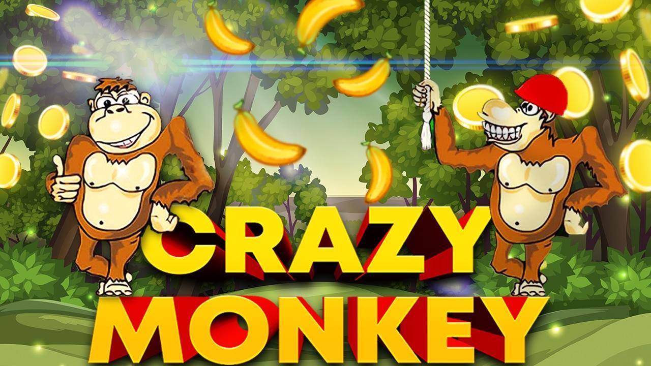 Crazy monkey slot ru4