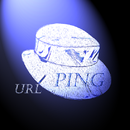 URL Ping aplikacja