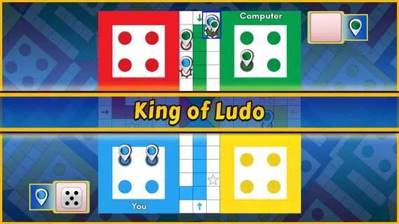 Ludo King®