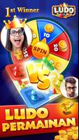 Ludo Pro syot layar 2