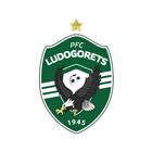 PFC Ludogorets 1945-icoon