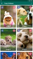 Puppy Wallpaper Plakat