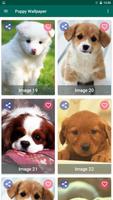 Puppy Wallpaper Screenshot 1