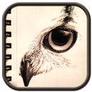 Creative Animal Sketch Drawing APK