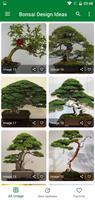 Bonsai Design Ideas скриншот 2