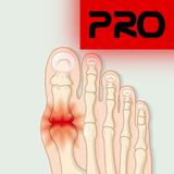 Gout Purine Diary Pro
