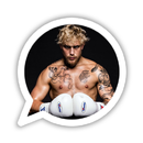Jake Paul Hub - Boxing Bullies APK