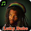 Lucky Dube All Songs Offline APK