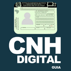 CNH Digital Detran SP Guia icône