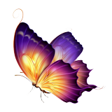 Butterfly Wallpaper иконка