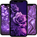 Purple Wallpaper APK