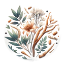 中藥方劑大全-中醫古籍 APK