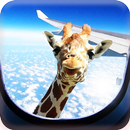 APK Cute Jerapah Wallpaper Populer