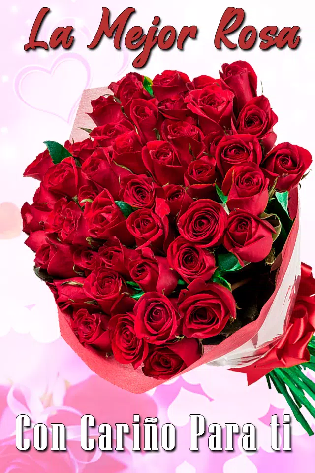 Ramos de Rosas Hermosas Flores Para Dedicar Gratis APK for Android Download