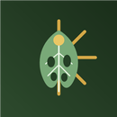 LumaLeaf Plant Light Meter APK