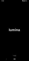 Lumina poster