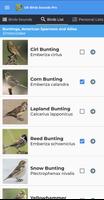 UK Birds Sounds Pro تصوير الشاشة 1
