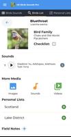 UK Birds Sounds Pro تصوير الشاشة 2