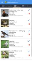 UK Birds Sounds Pro capture d'écran 3