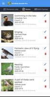 UK Birds Sounds Pro تصوير الشاشة 3