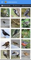 American Birds Sounds Pro 포스터