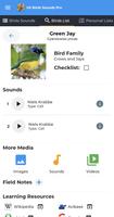 American Birds Sounds Pro capture d'écran 3