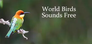 World Birds Sounds Free