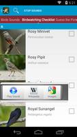 World Birds Sounds ảnh chụp màn hình 2