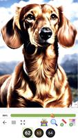 Animals Wow Paint by Number تصوير الشاشة 2