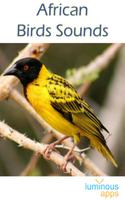 African Birds Sounds 포스터