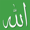 99 Names of Allah with Meaning APK